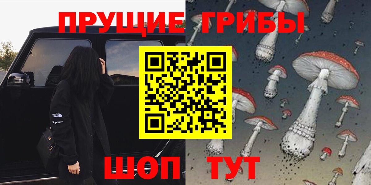 Псилоцибиновые грибы Psilocybe  Галлюциногенные грибы мицелий  Самара  Вход с VPN 